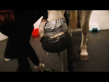 Load and play video in Gallery viewer, COMFORTMIX HOOF CAST